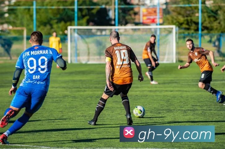 九游官网平台生态图